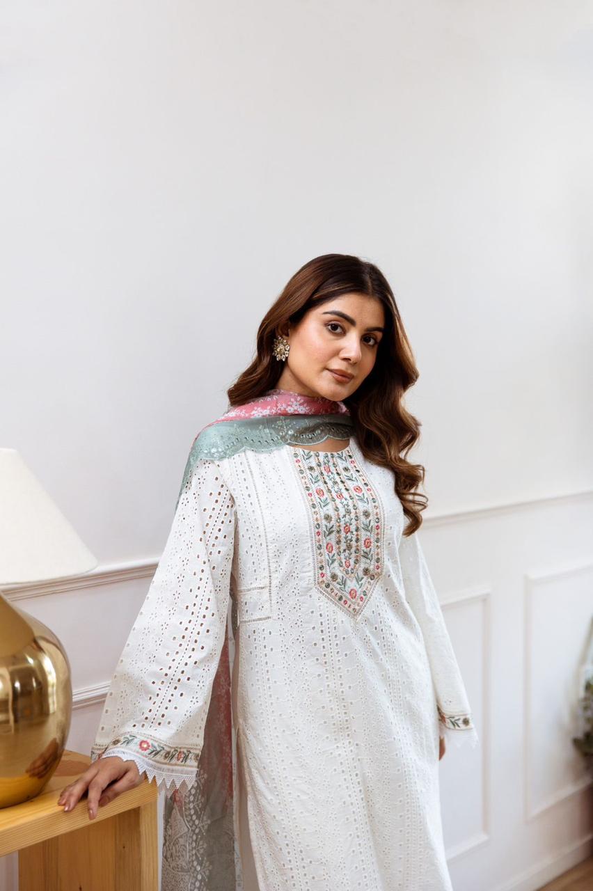 Gorgeous shifli embroidery suit set