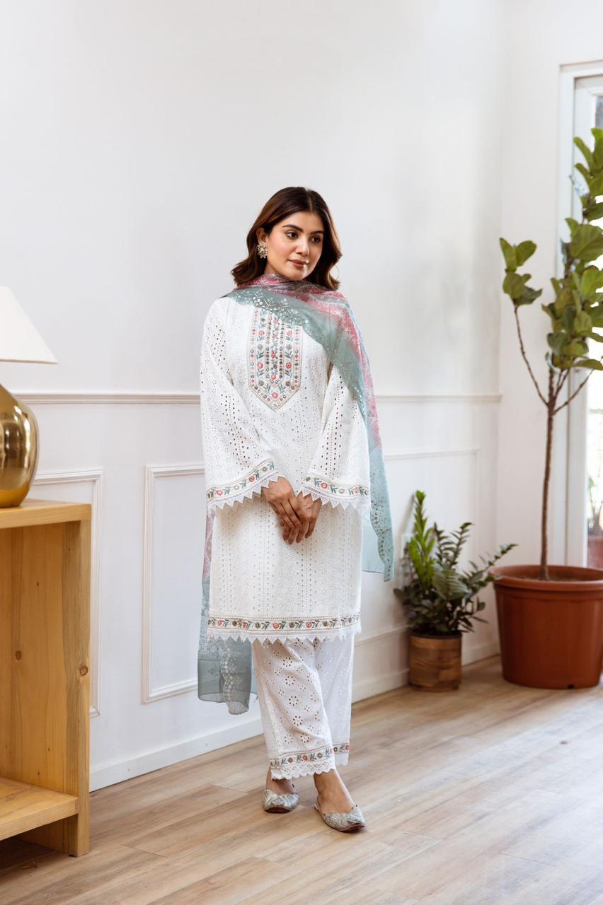 Gorgeous shifli embroidery suit set